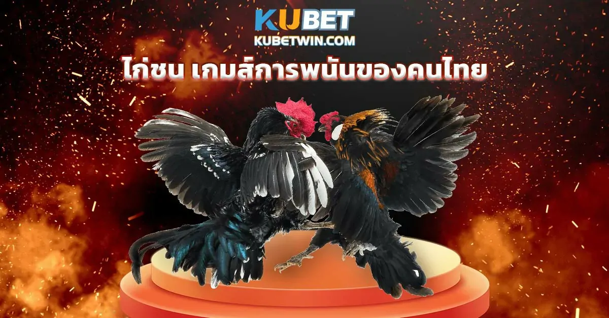 ไก่ชน เกมส์การพนันของคนไทย~1